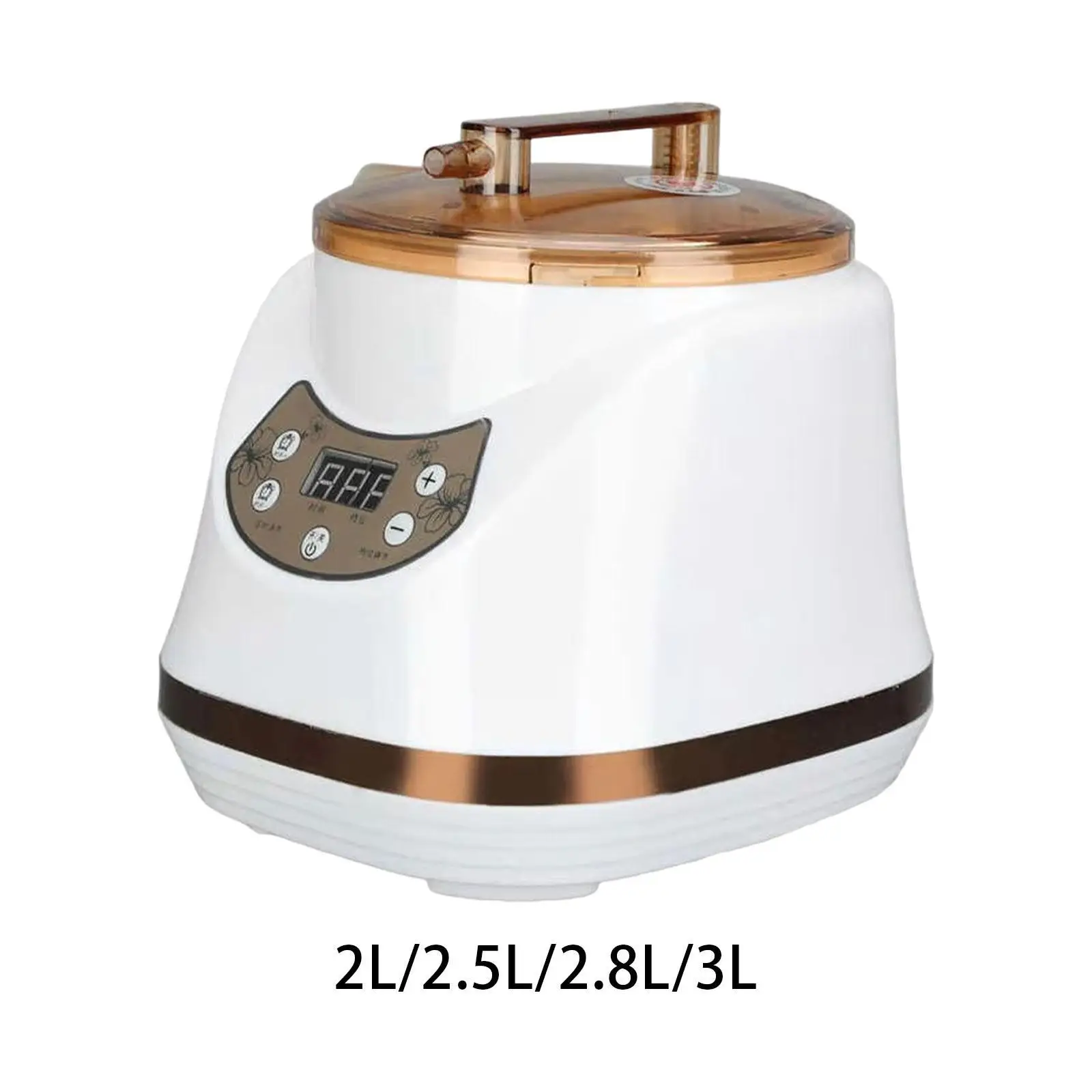 Sauna Steamer Pot Fumigation Steam Machine Portable Portable Steam Generator - Image 2