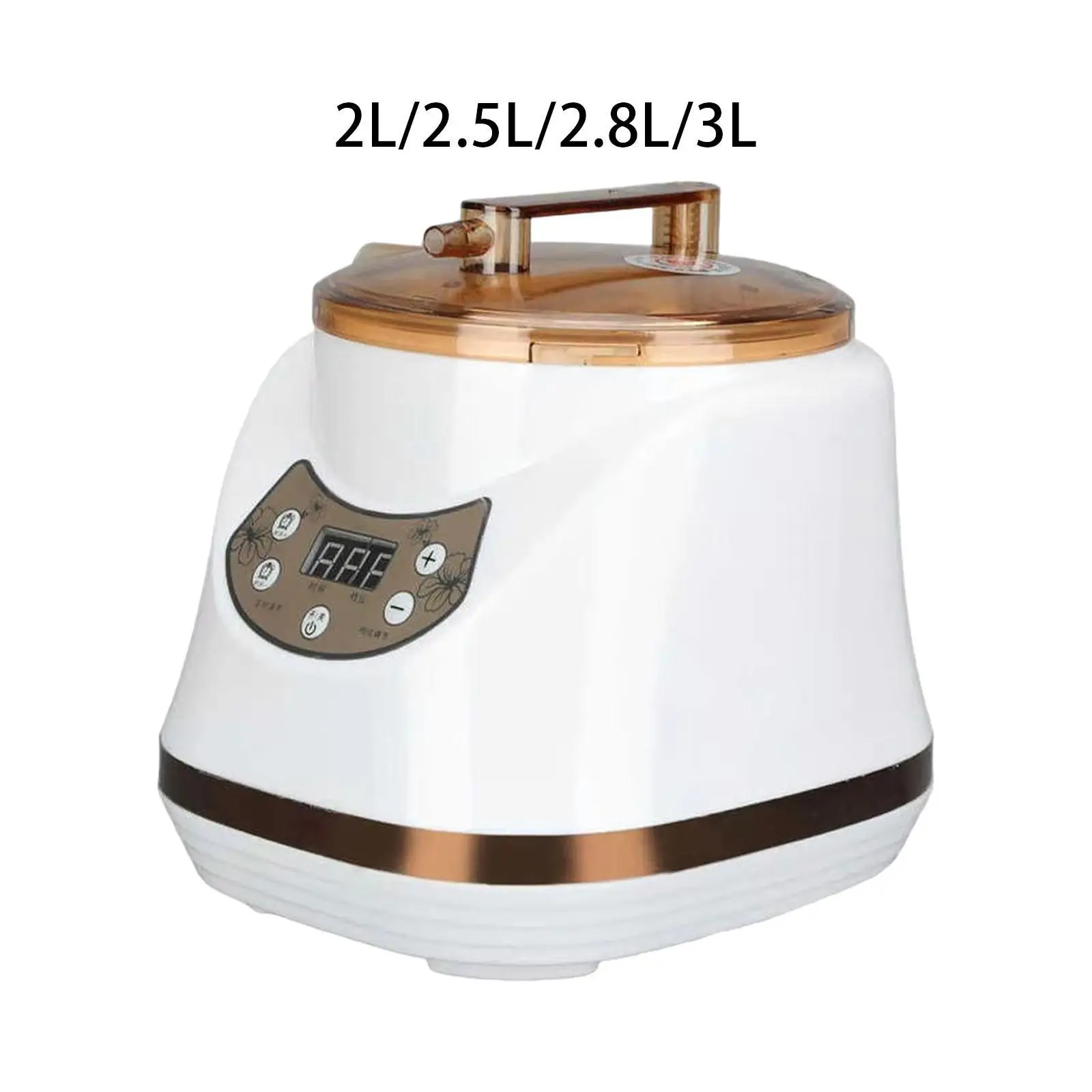 Sauna Steamer Pot Fumigation Steam Machine Portable Portable Steam Generator