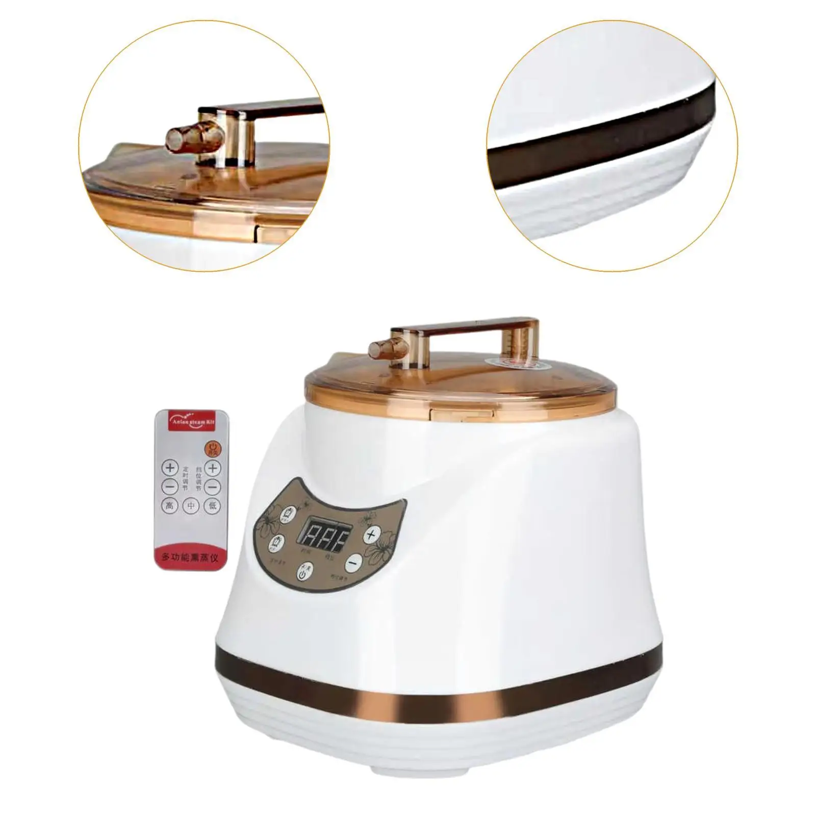 Sauna Steamer Pot Fumigation Steam Machine Portable Portable Steam Generator - Image 5